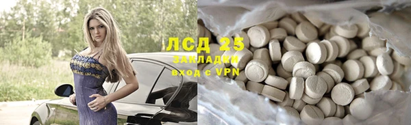 спиды Каменногорск