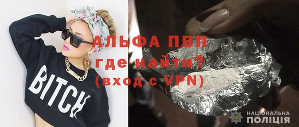 спиды Каменногорск